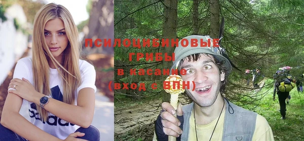 прущие крисы Алзамай