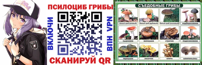 Галлюциногенные грибы ЛСД  Биробиджан 